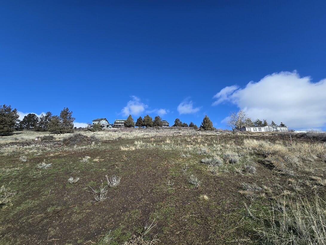 Beverly Heights - Land