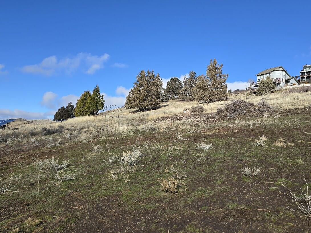 Beverly Heights - Land