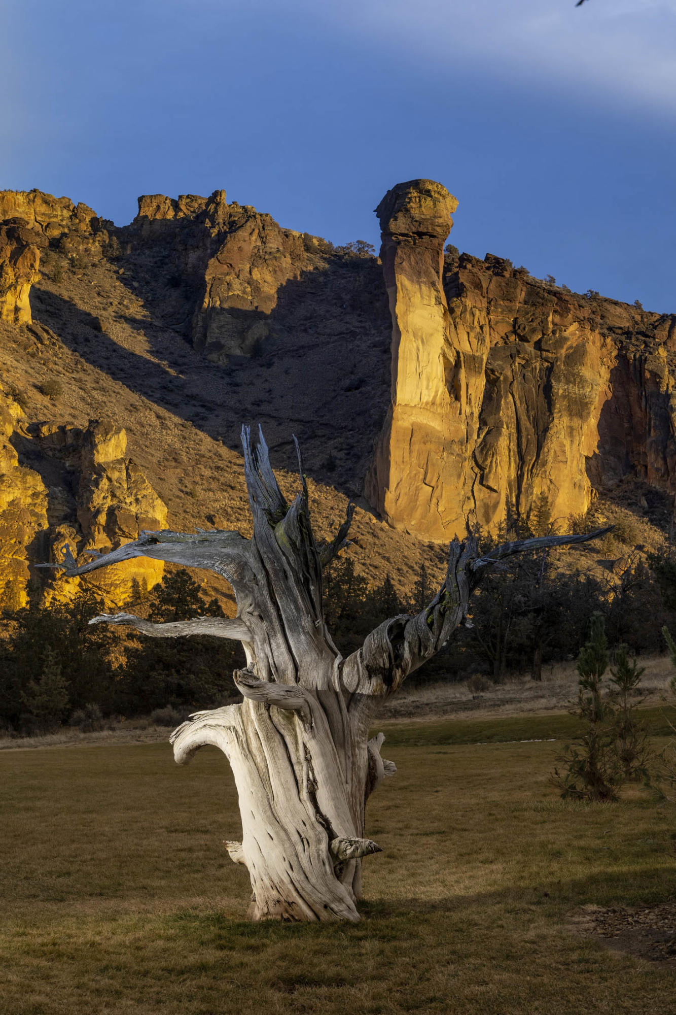 Ranch at the Canyons - Residential