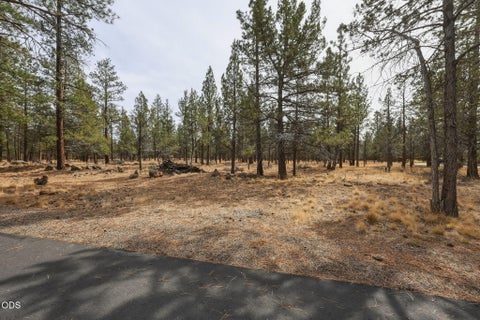 Photo of 16541 Wren Lane, Sisters, OR 97759 (MLS # 220229013)