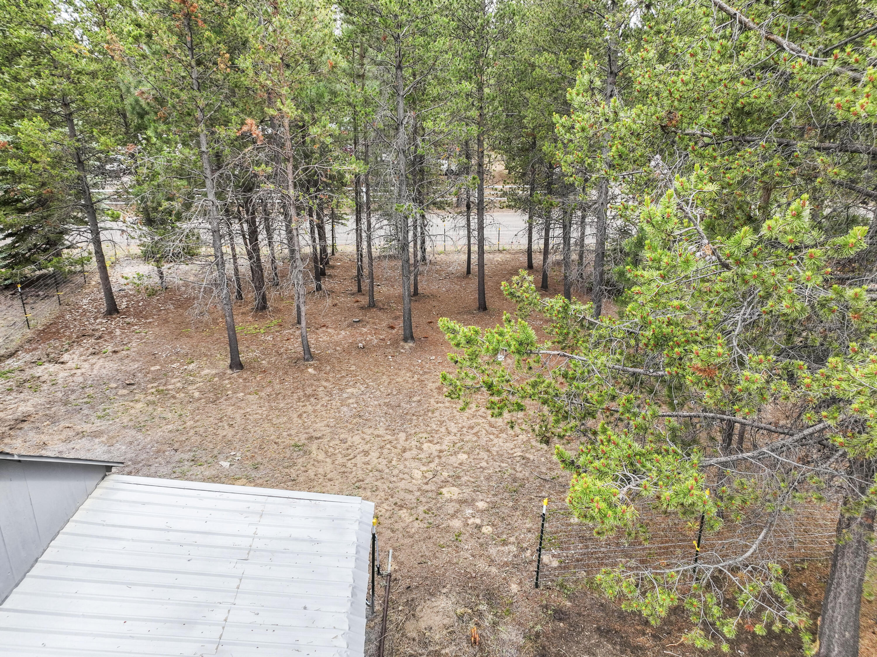 Tall Pines - Residential