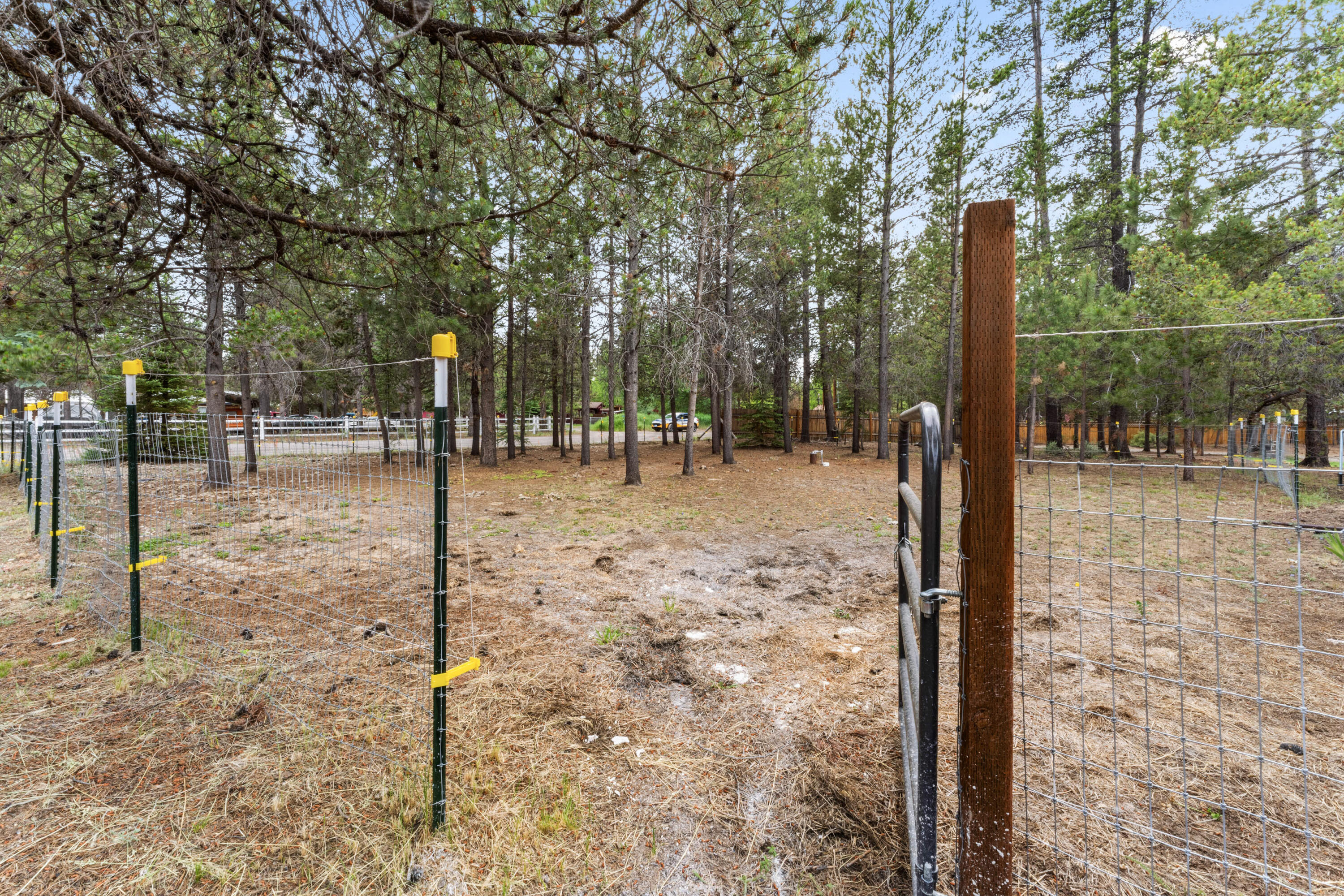 Tall Pines - Residential