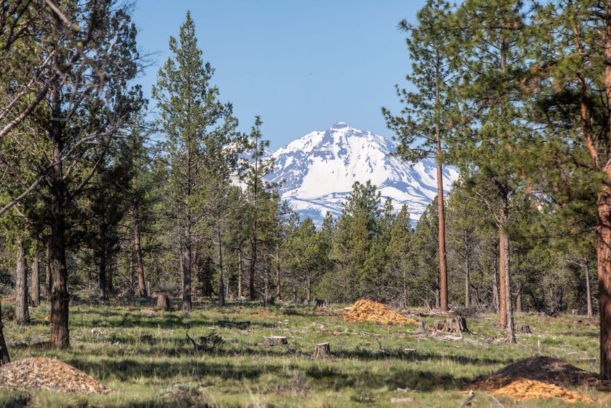 40.29 acres of manicured Ponderosa forested property just minutes from downtown Sisters. It truly feels like your very own private park. This is the perfect setting for a family legacy estate with an abundance of Ponderosa trees, and your very own herd of Mule deer. The owner has marked a potential building site that has views of North and Middle Sister all while being tucked into an gorgeous grove of old growth Ponderosa trees creating a lovely homesite. Views of Black Butte from the property. The owner just completed a thorough thinning/fire fuel reduction project removing hundreds of Juniper trees and underbrush creating a healthy fire resistant forest. Brand new compacted gravel driveway leading to the building site installed. Since the property is zoned RR10 no CUP is needed and building permits can be applied for immediately. Power is at the street and septic feasibility has been approved. A private well will be needed. Call for a private showing.