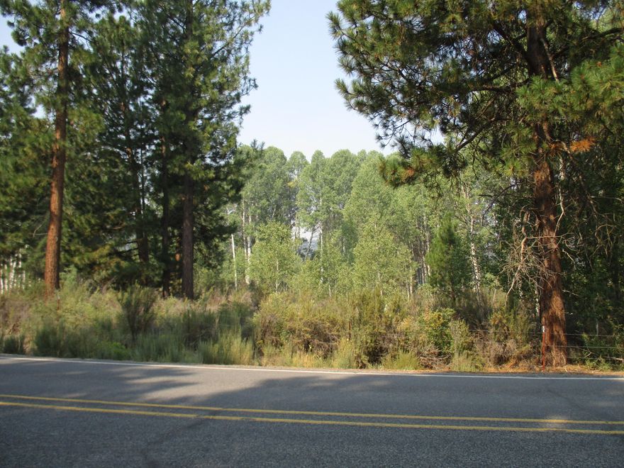 This parcel 18.83 acre  borders Winema National forest . It could be buildable with a conditional  Use Permit. It is on a paved road close to a small community and out of town, You could have horses and ride into forestry.