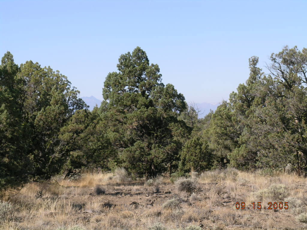 West Powell Butte Es - Land