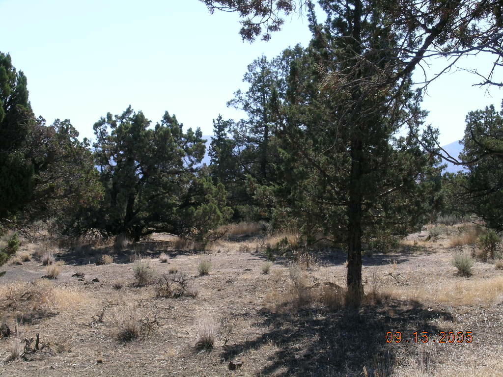 West Powell Butte Es - Land