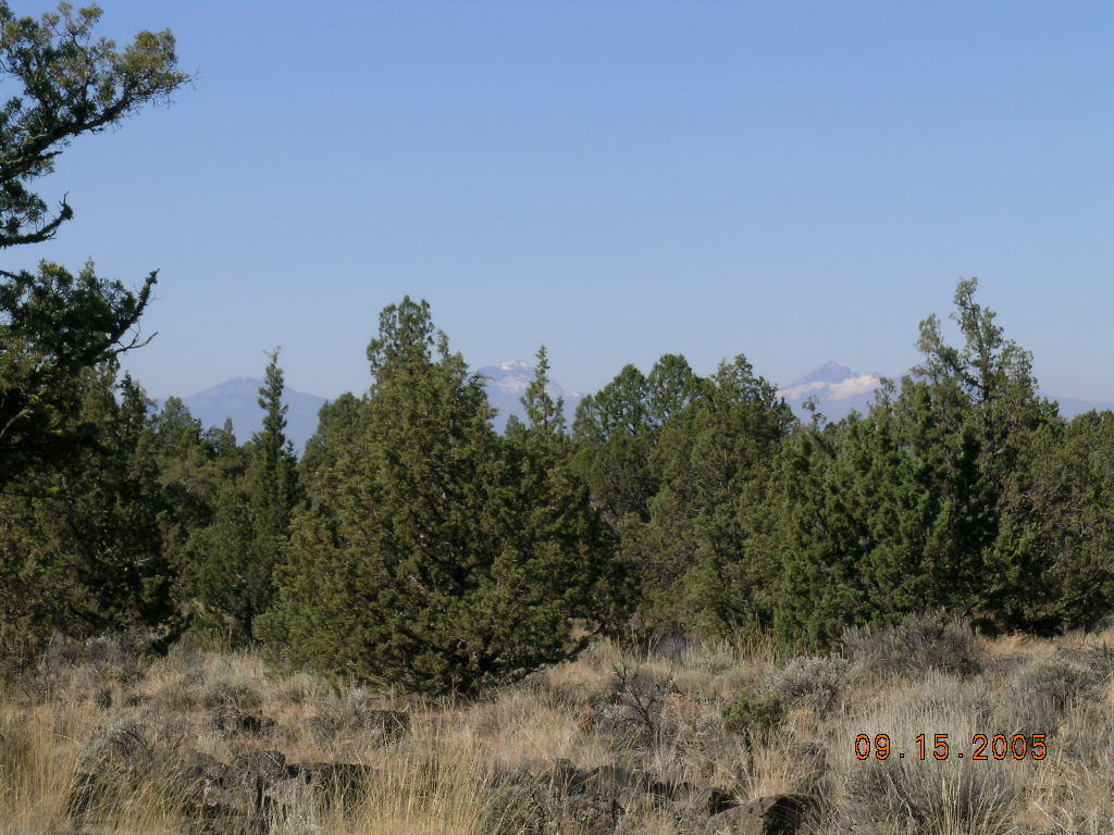 West Powell Butte Es - Land