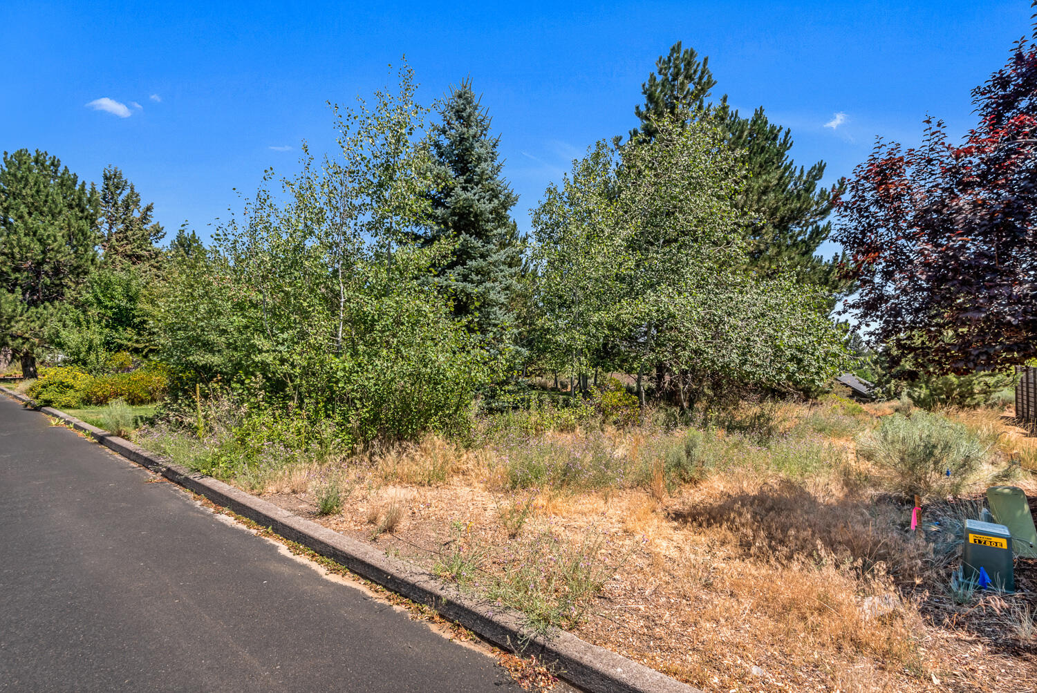 Westridge - Residential