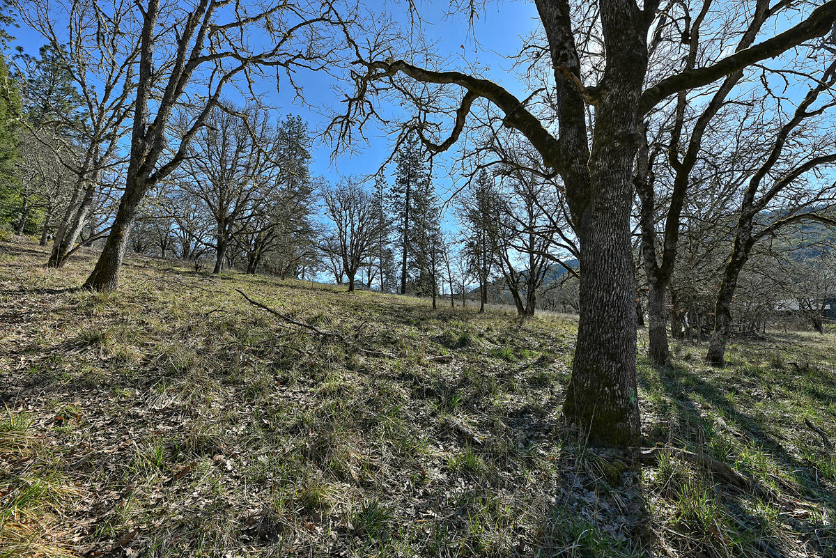 Gold Rey Subdivision Unit No 1 - Land