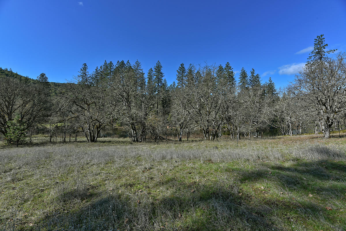 Gold Rey Subdivision Unit No 1 - Land