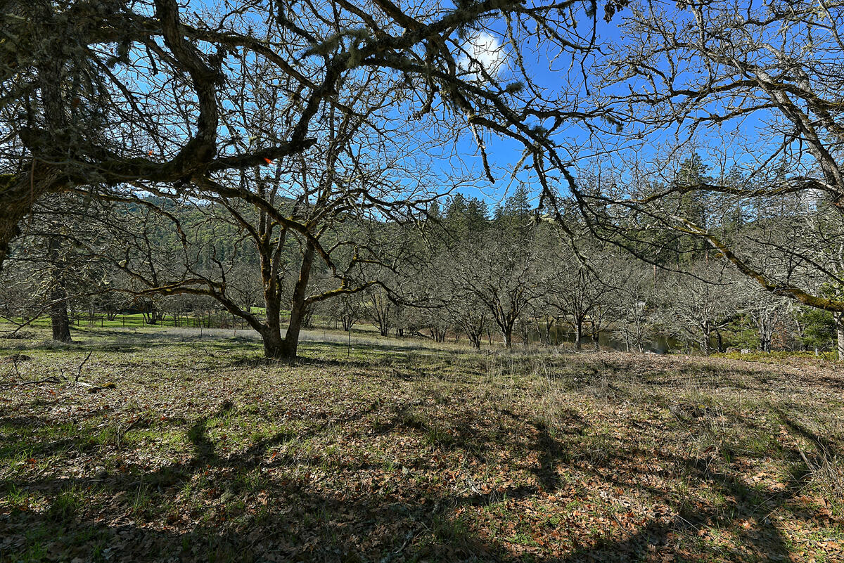 Gold Rey Subdivision Unit No 1 - Land