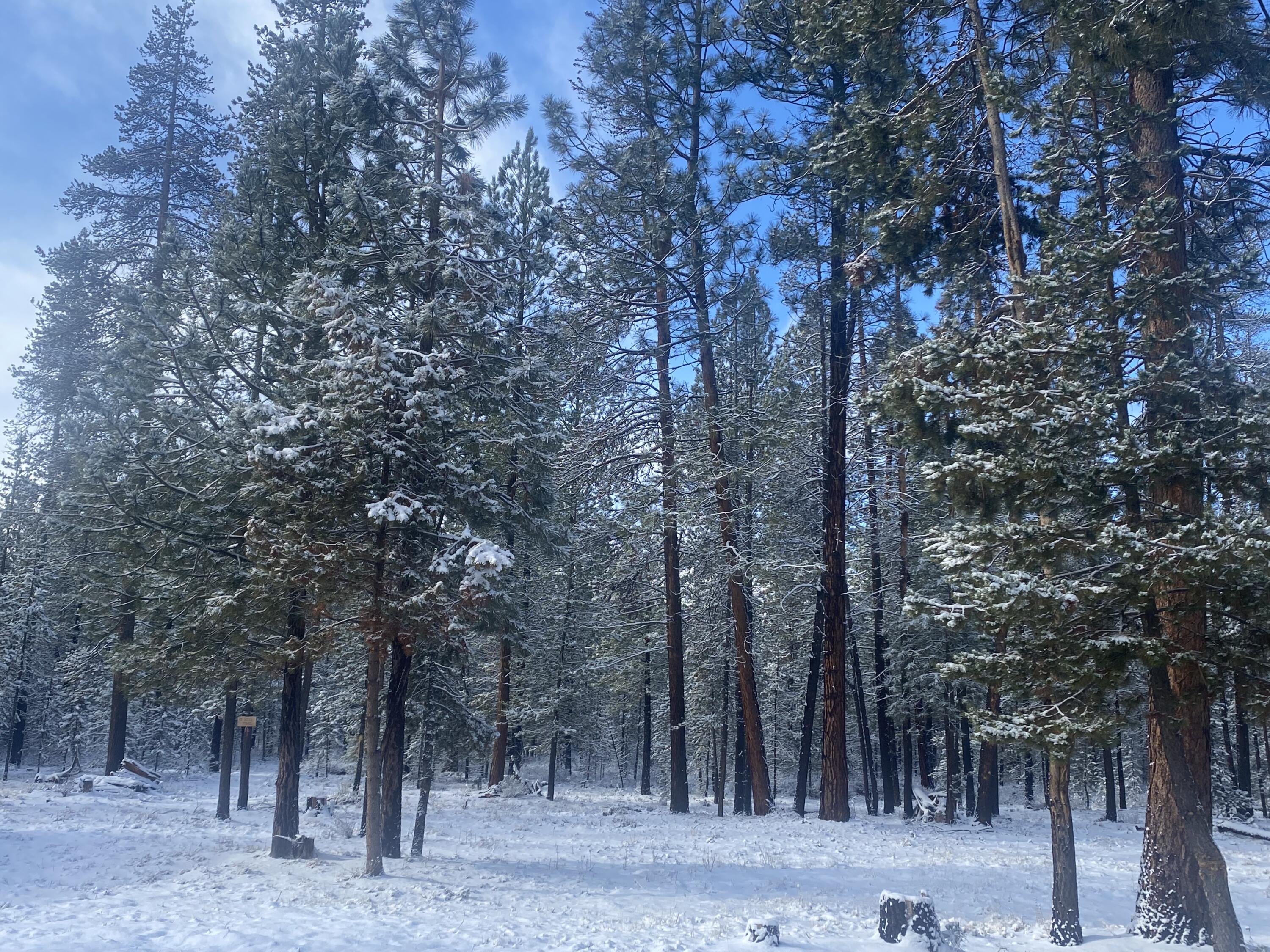 South 40 - Residential