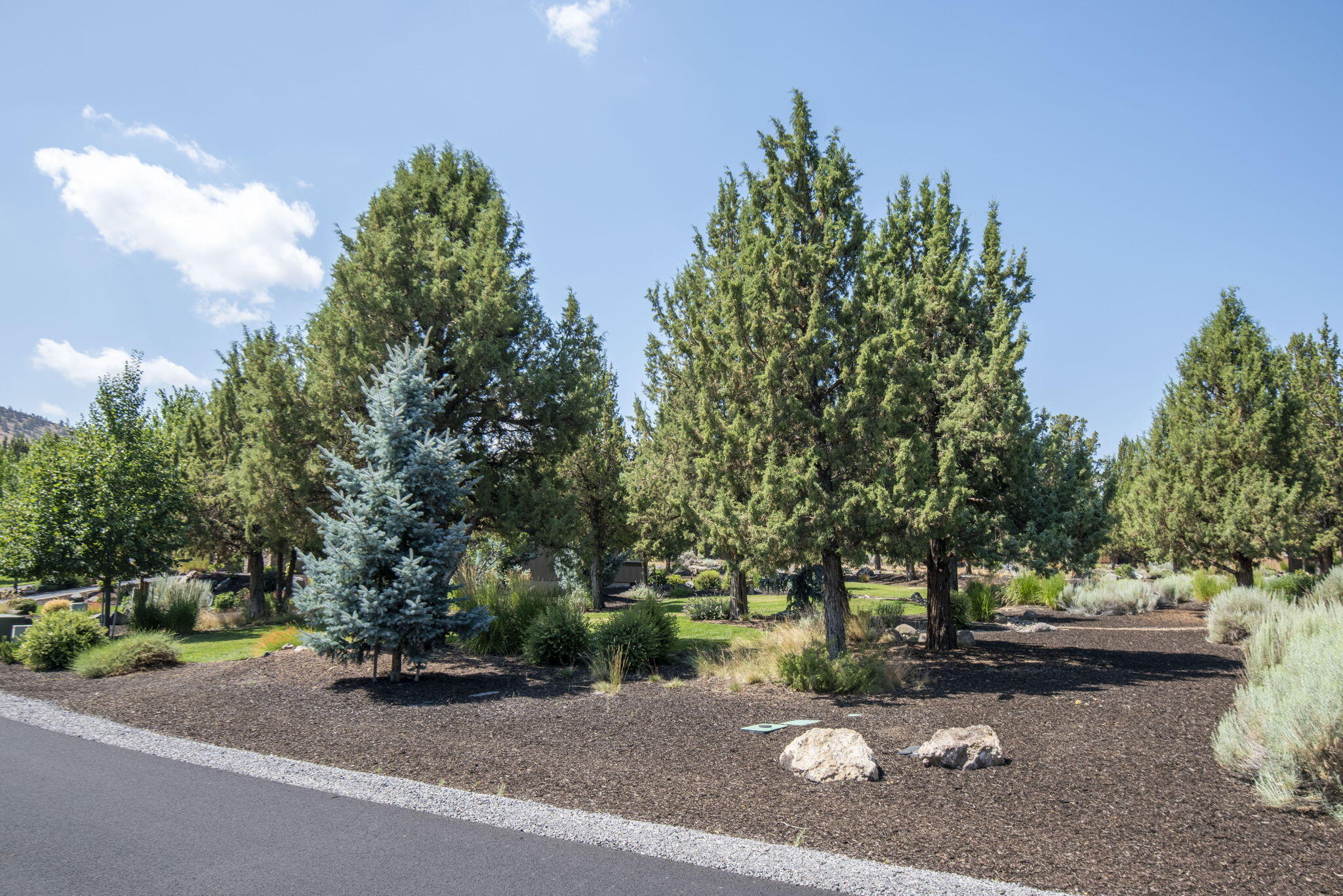 285 Vista Rim Drive