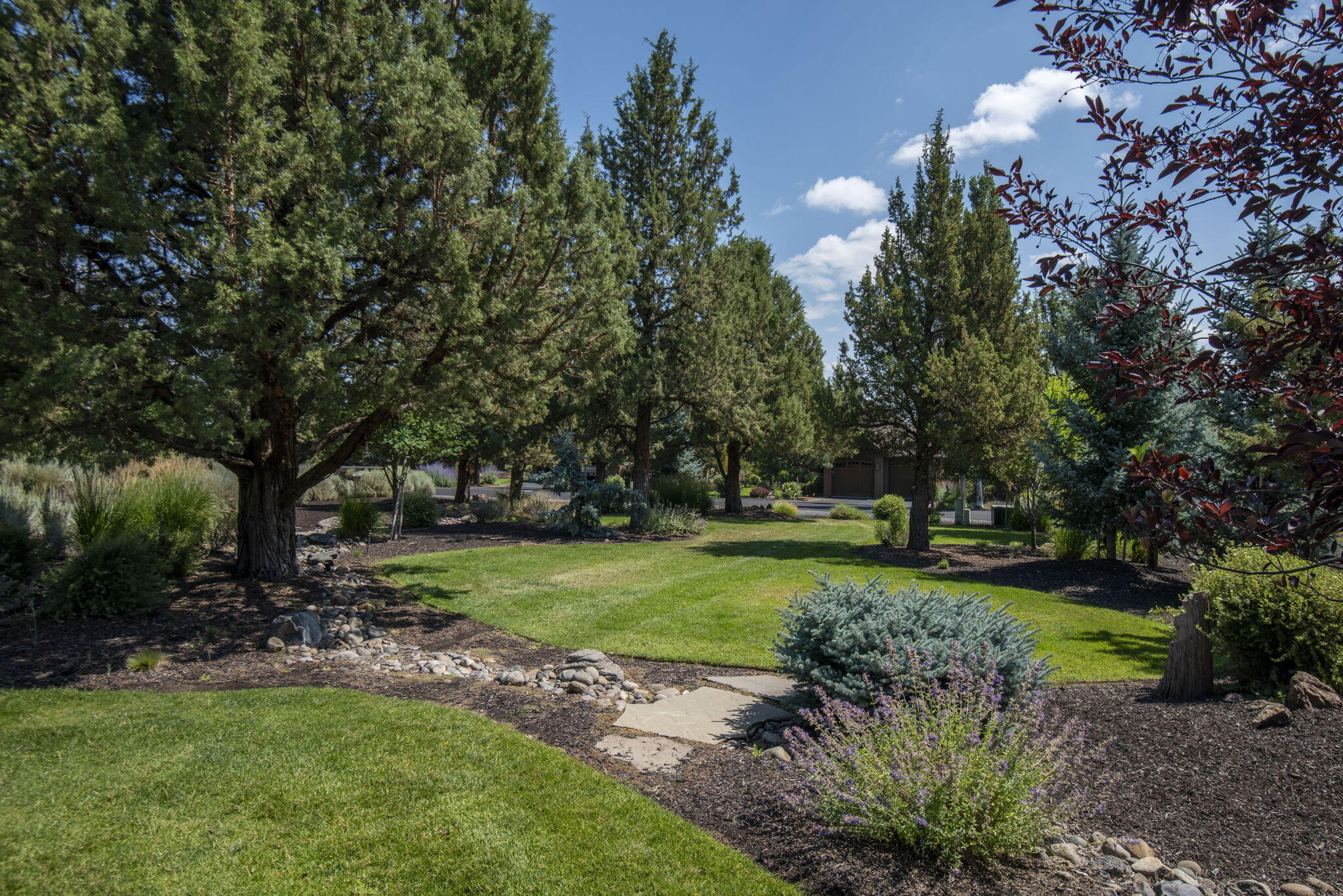 285 Vista Rim Drive