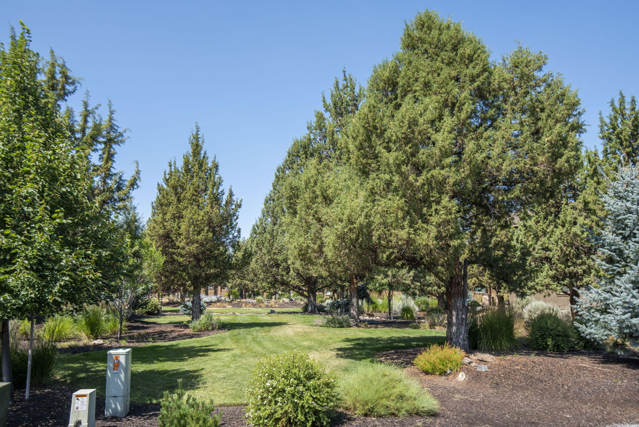 285 Vista Rim Drive