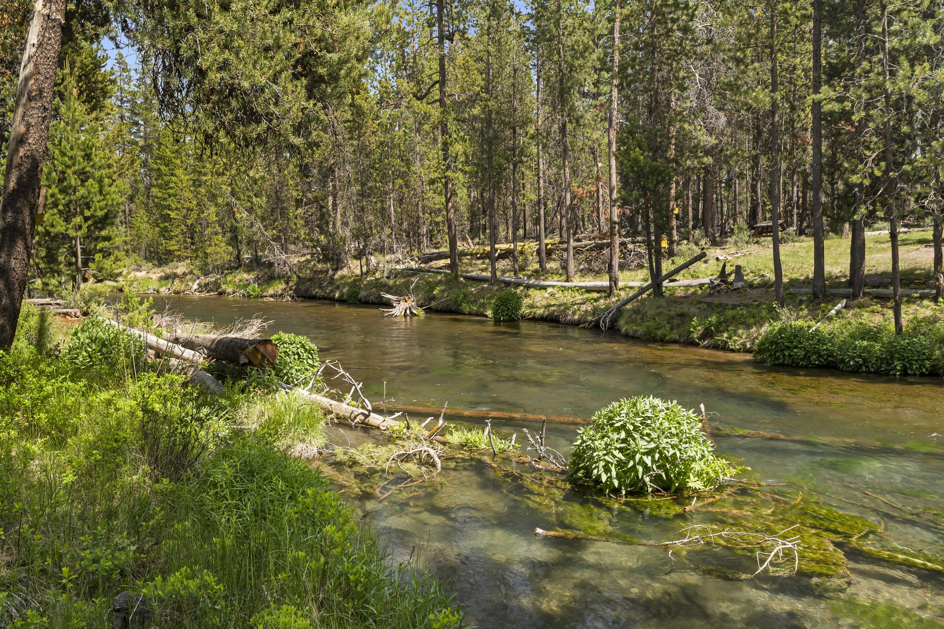 Fall River Estate - Residential