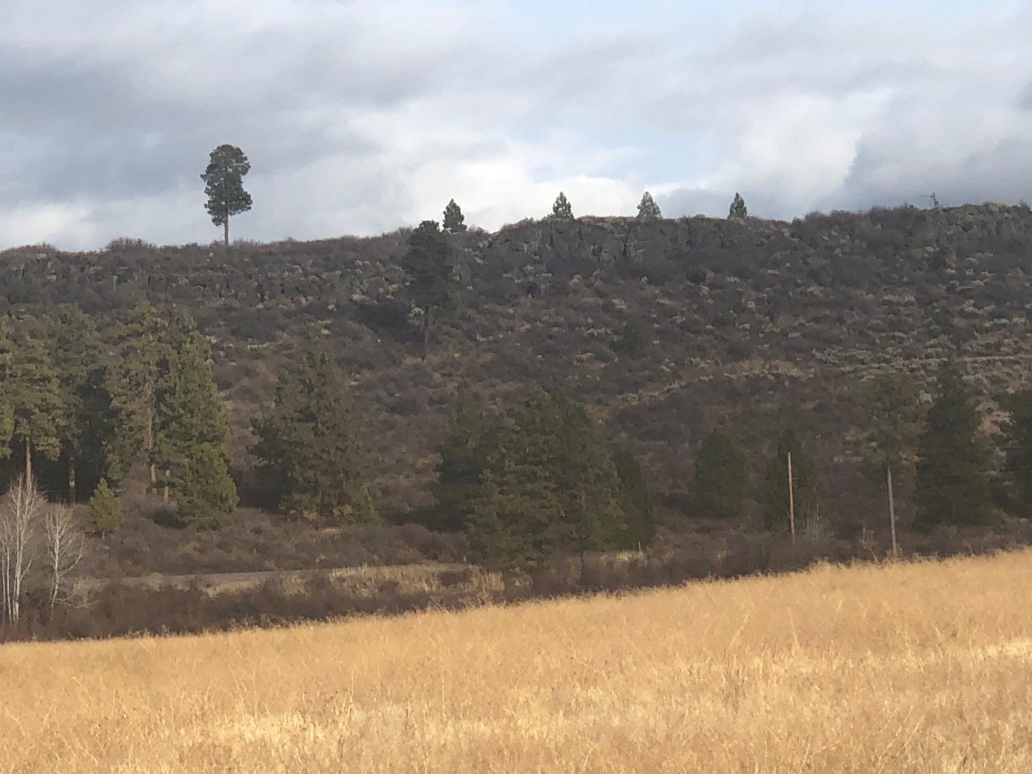 Agency Lake Ranches - Land