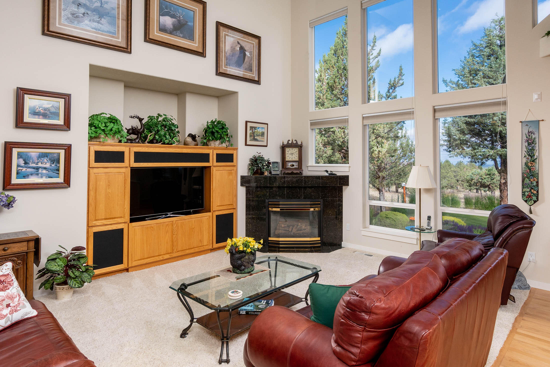 Mtn View Estate - Residential