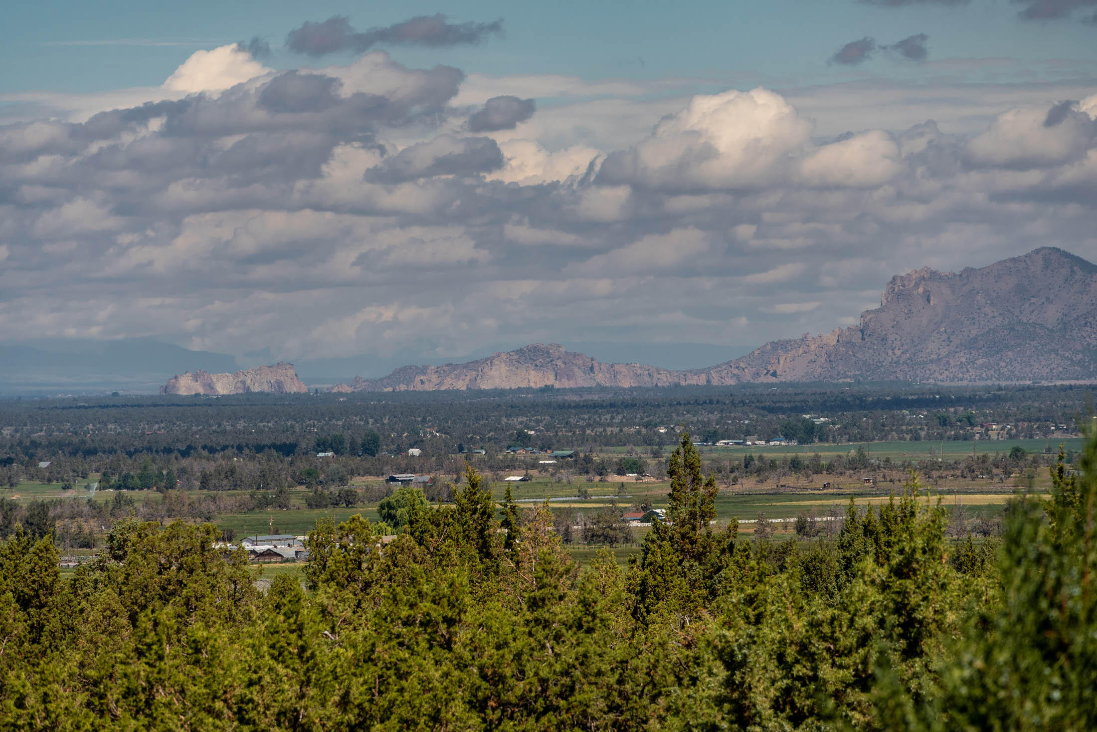 Mtn View Estate - Residential