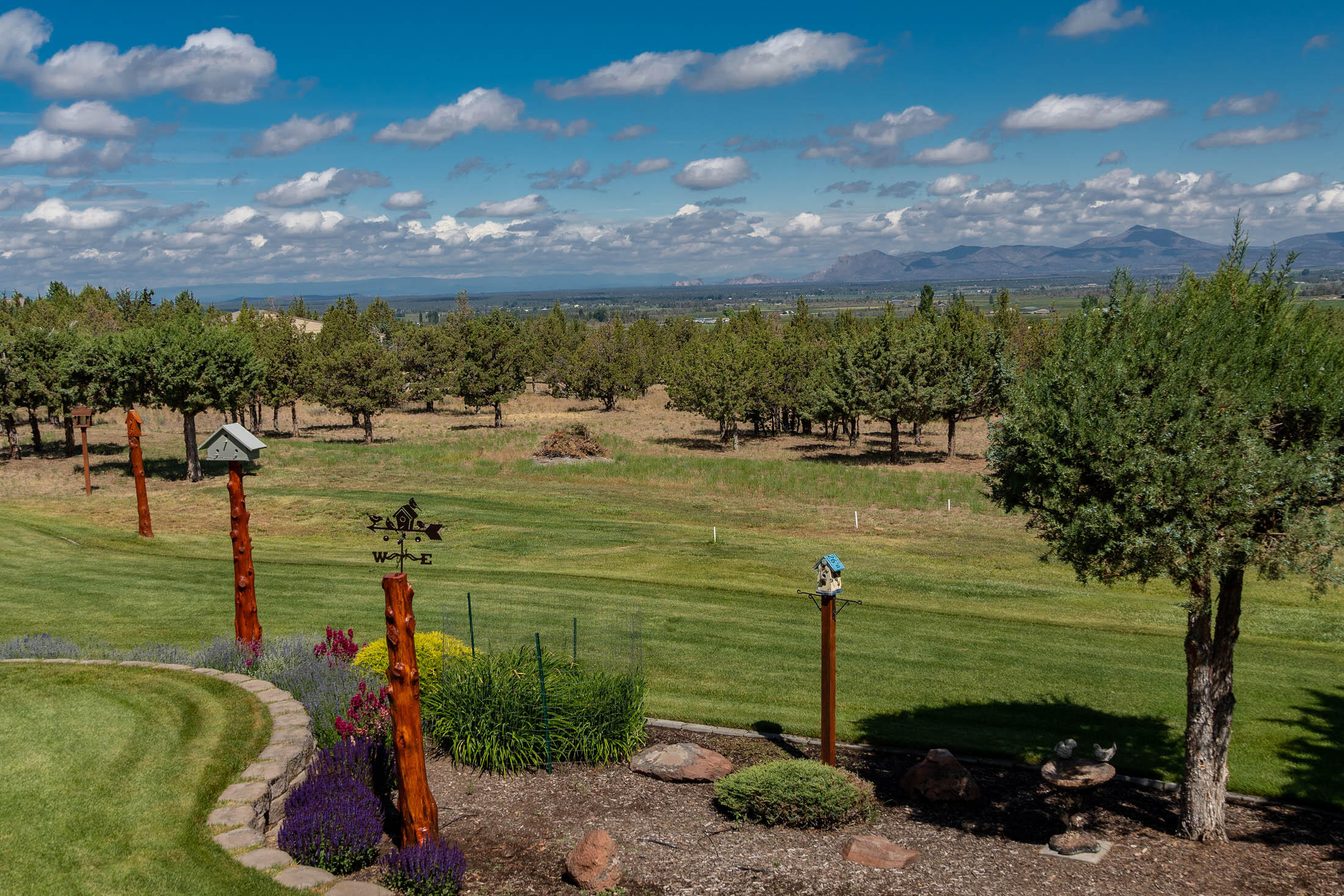 Mtn View Estate - Residential