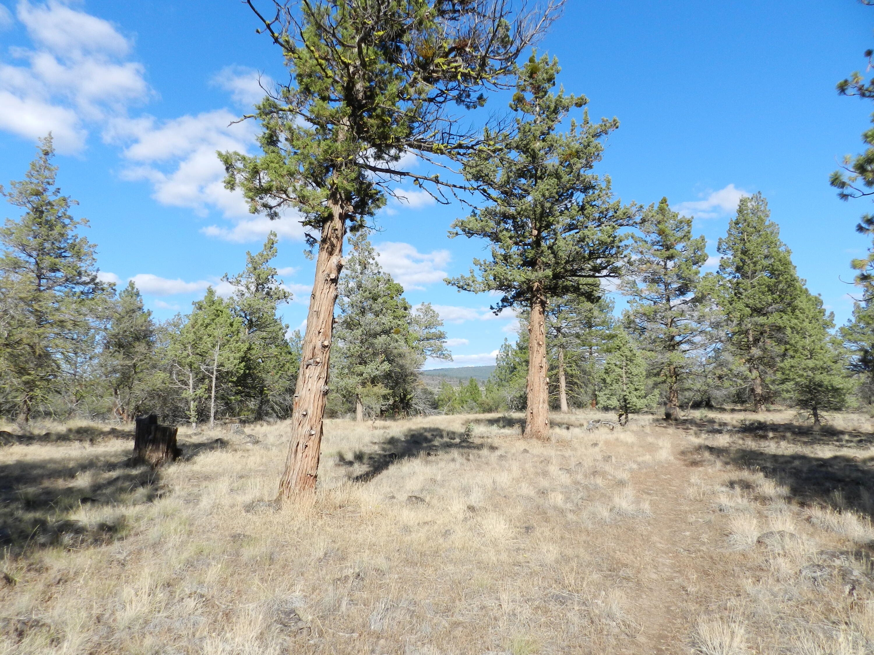 Klamath Falls Forest Estates -Hwy 66 Unit -Plat No. 2 - Residential