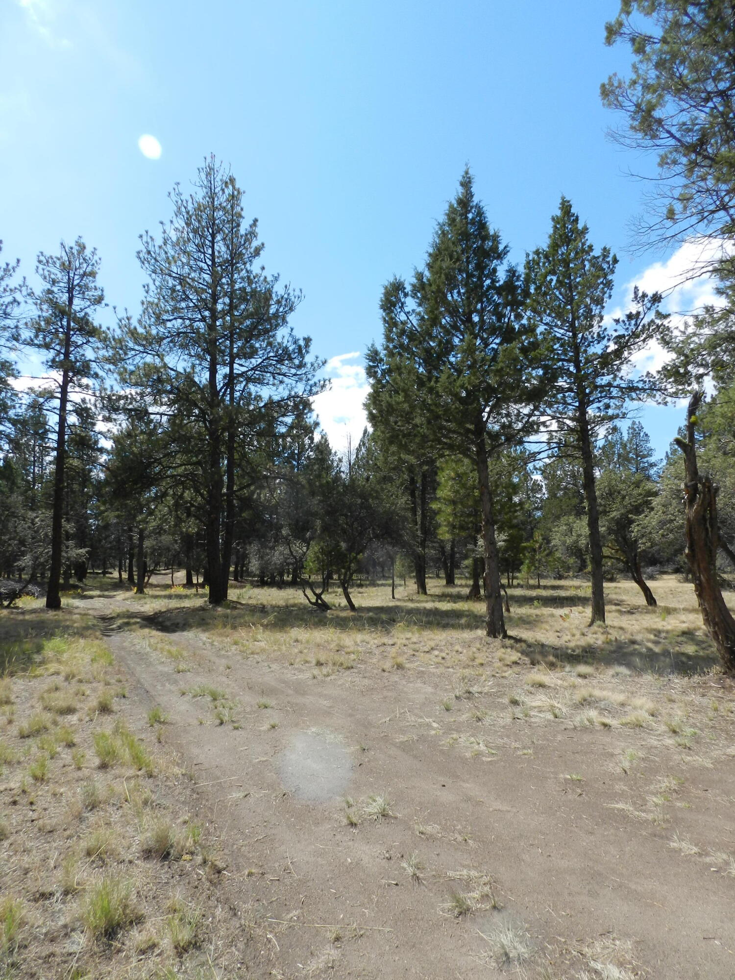 Klamath Falls Forest Estates -Hwy 66 Unit -Plat No. 2 - Residential