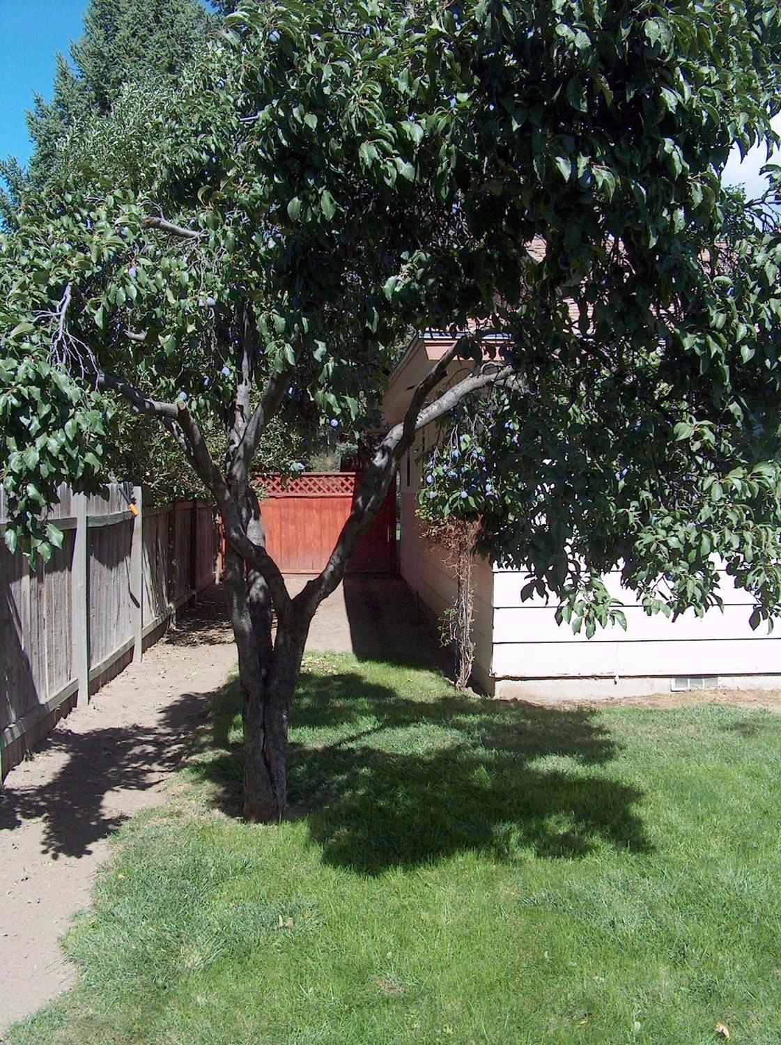 Banyon Park - Residential