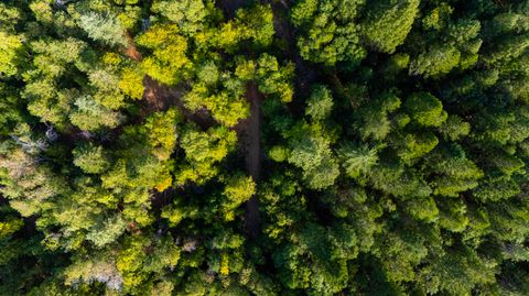 Tiny photo for 6715 W Side Road, Cave Junction, OR 97523 (MLS # 220212440)