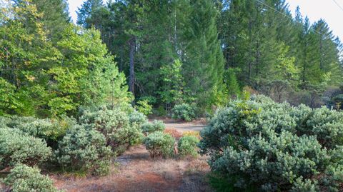 Tiny photo for 6715 W Side Road, Cave Junction, OR 97523 (MLS # 220212440)