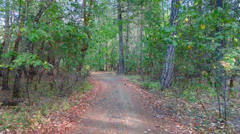 Tiny photo for 6715 W Side Road, Cave Junction, OR 97523 (MLS # 220212440)