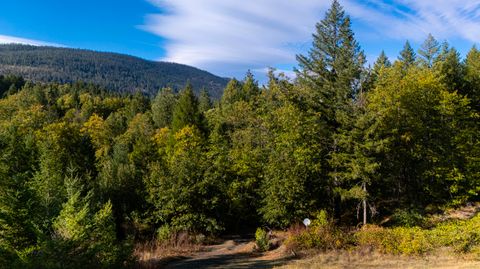 Tiny photo for 6715 W Side Road, Cave Junction, OR 97523 (MLS # 220212440)