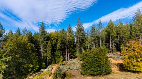 Photo of 6715 W Side Road, Cave Junction, OR 97523 (MLS # 220212440)