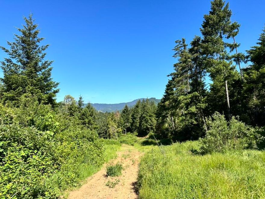 Rare Opportunity! Discover nearly 40 private, wooded acres just minutes from town—an ideal canvas for your dream home. This property features a 15 GPM artesian well, homesite and septic approvals, plus a cozy, insulated 14x40 cabin, nearly complete—perfect for relaxing and taking in nature. Power is installed underground to the homesite, with outdoor receptacles ready. A gated entrance off a quiet paved road ensures privacy, with partial fencing enhancing the serene setting. Enjoy seasonal streams, flowing springs, and ponds on this gently sloped forested land. The homesite overlooks expansive meadows bordered by healthy tree stands and thousands of acres of BLM land, a haven for elk, deer, and abundant wildlife. Come build your dream home in an area called the ''Best Kept Secret of Southern Oregon.'' Appointment and proof of funds required to view—this isn't a drive-by!