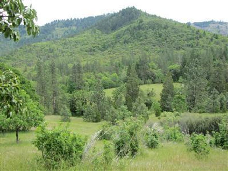 Gorgeous Homesite in a private Valley with rolling meadows and 40 acres of tranquility. Quiet and peaceful near to Grants Pass and just a few blocks from the Rogue River. The current building site envelope has wonderful views towards Rover River with gentile rolling hills and mountain vistas. Abundant wildlife on the property and corners up to BLM. The Little Savage Creek crosses through the entire property. Part of the property has healthy timber stand and great mix of trees. Build your private sanctuary so close to all the conveniences of Grants Pass.