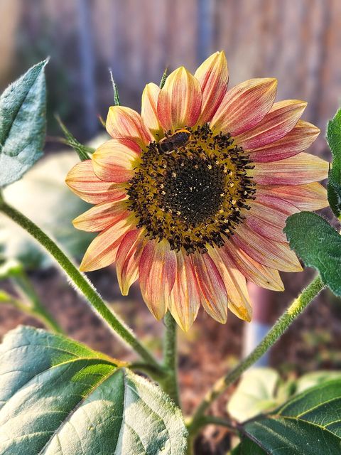 Tiny photo for 1540 NE Bear Creek Road, Bend, OR 97701 (MLS # 220215591)