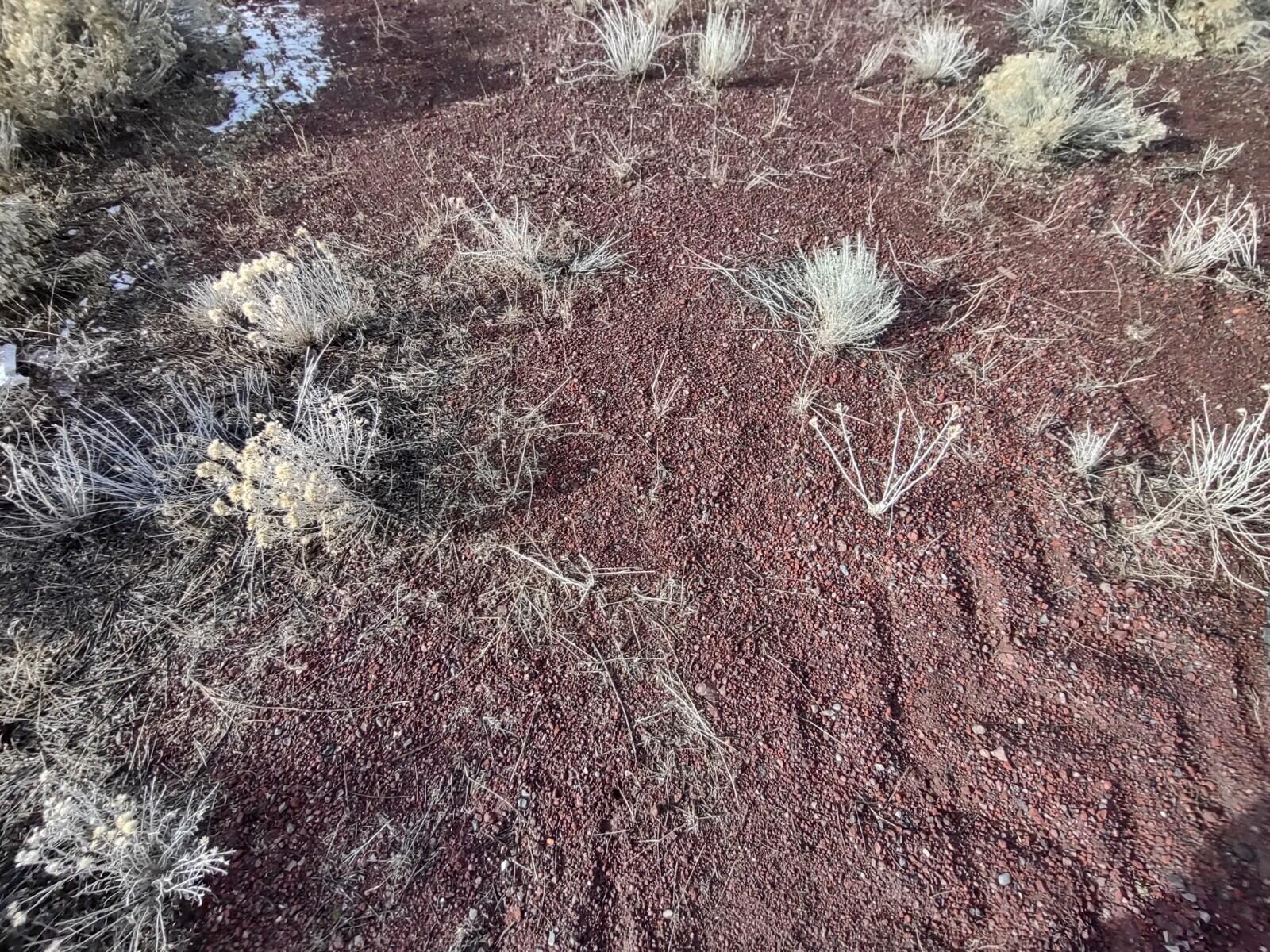 Canal Row - Commercial Sale