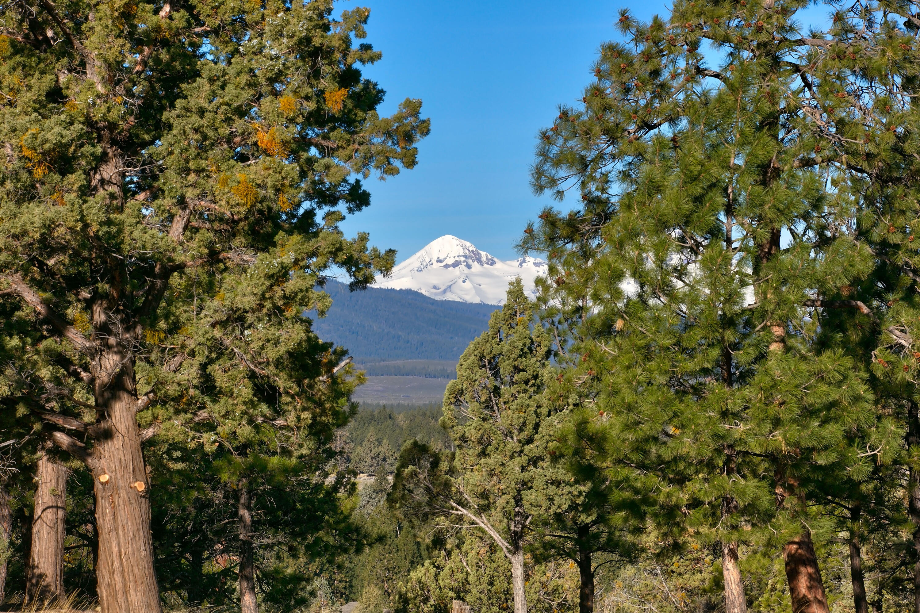 3380 NW Greenleaf Way