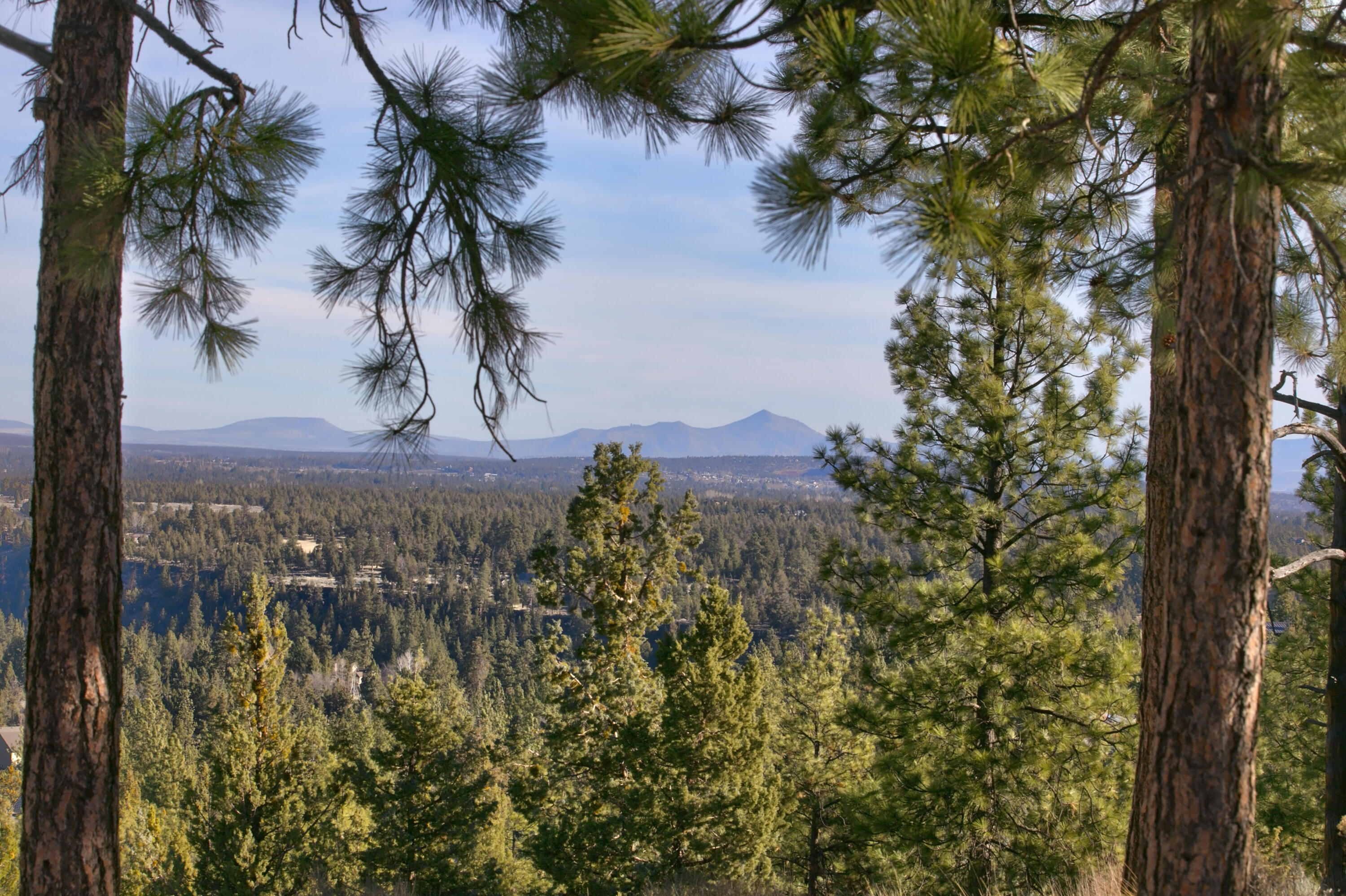 3380 NW Greenleaf Way