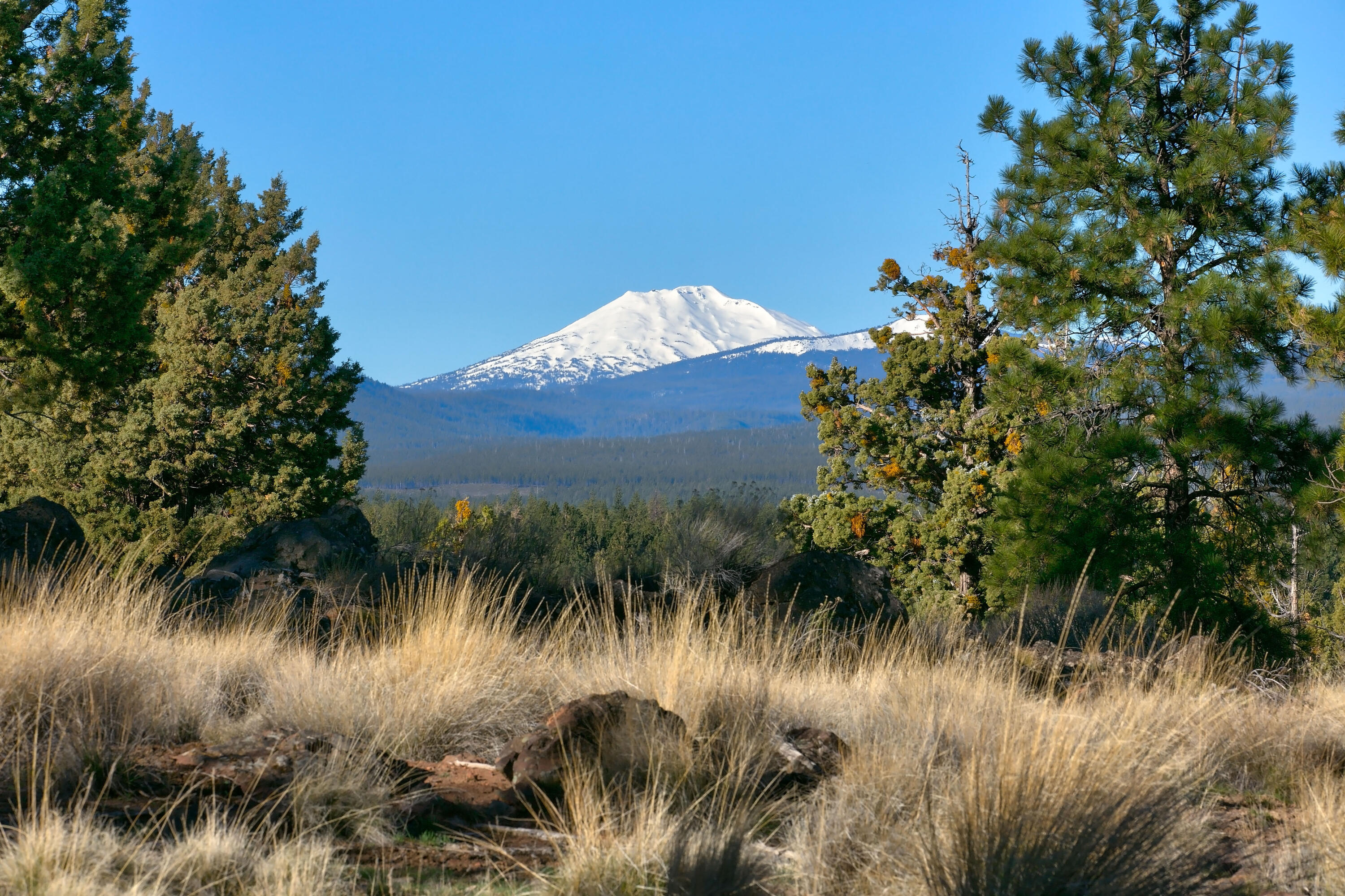 3380 NW Greenleaf Way