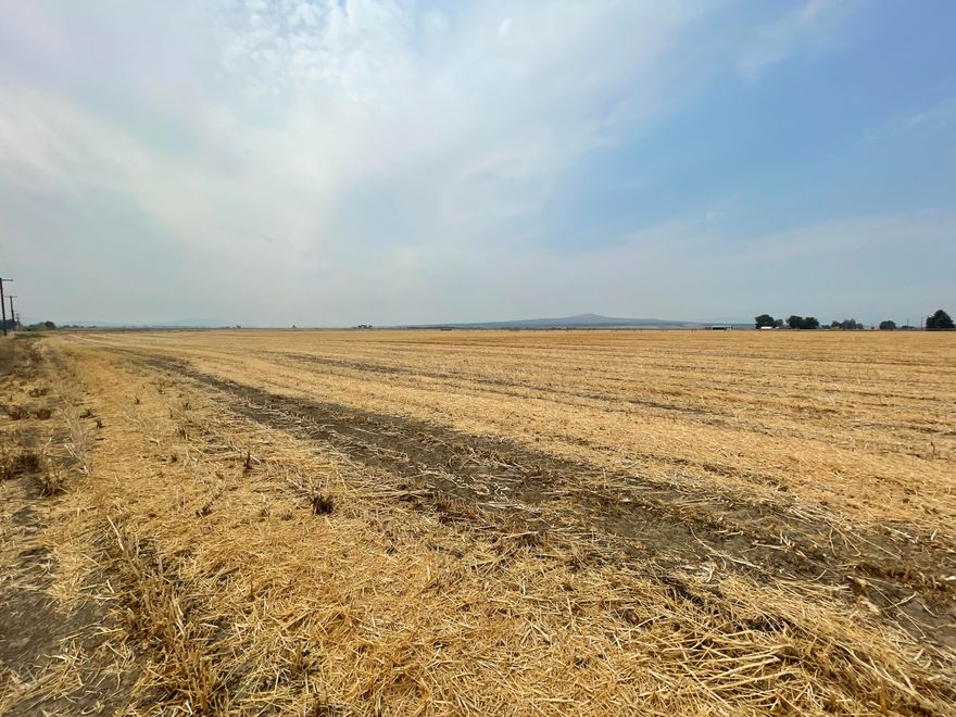 38.8 acres of flat, beautiful farm ground with 38.8 acres of irrigation and it includes the existing wheel lines. Drive by and see for yourself. Make your offer today.