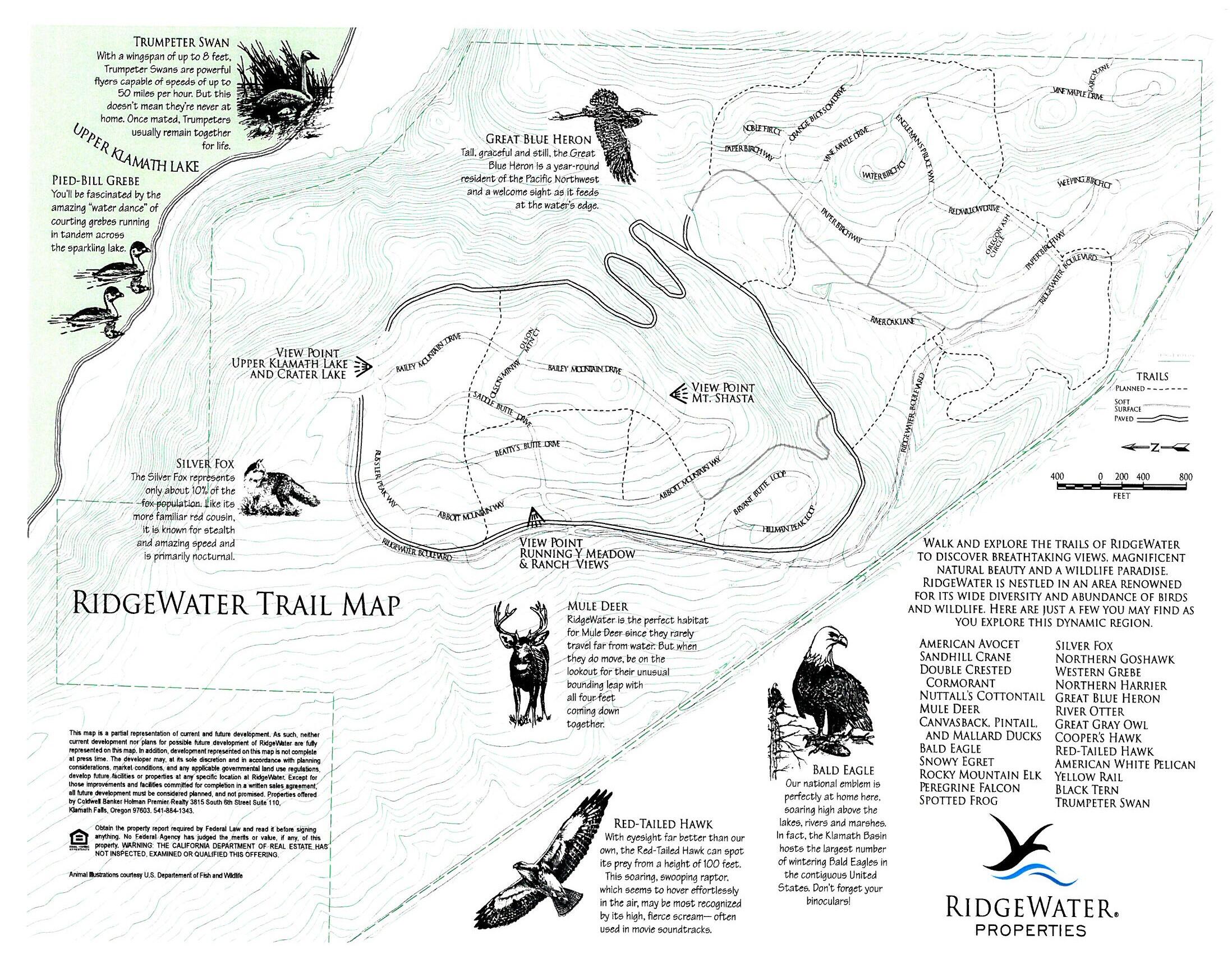 Ridgewater Subdivision -Phase 1 - Land