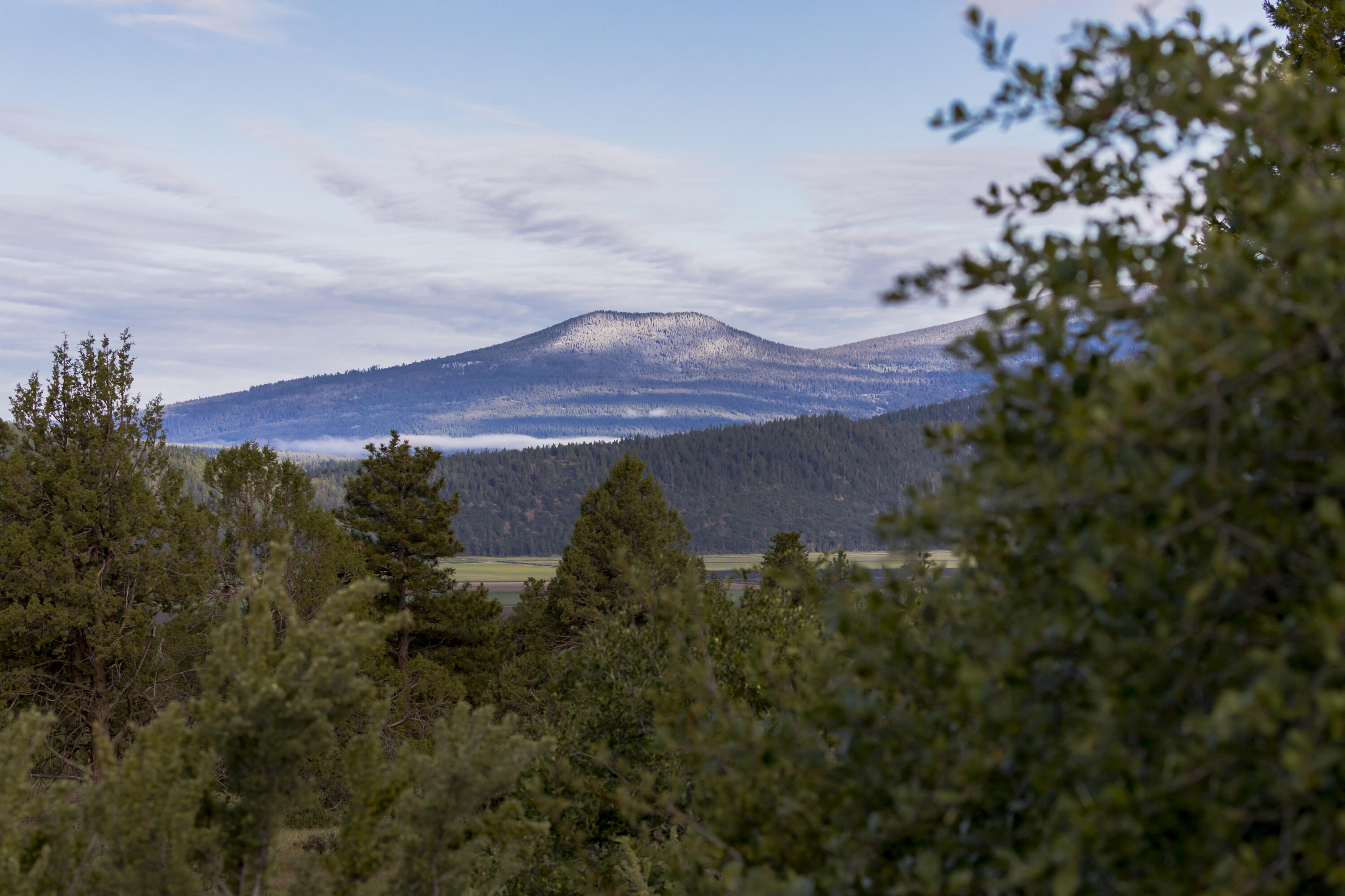 Ridgewater Subdivision -Phase 1 - Land