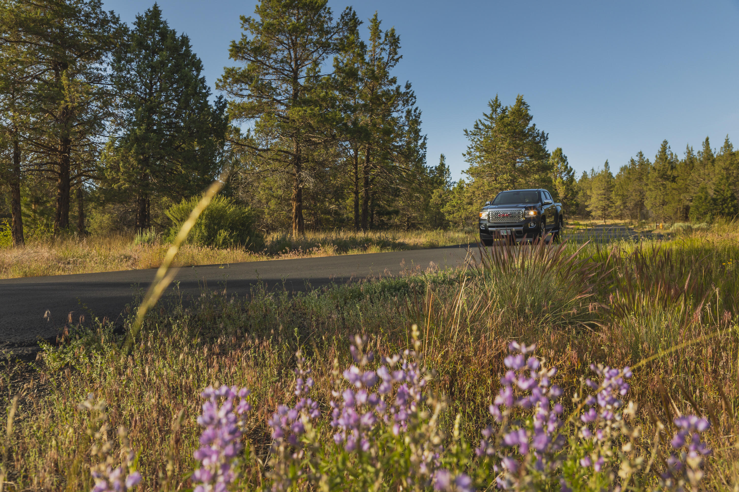 Ridgewater Subdivision -Phase 1 - Land