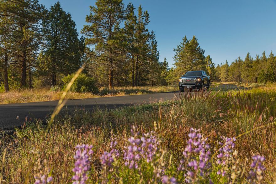 One of a limited offering of homesites  Southern Oregon's Premier gated, secure community of RidgeWater Properties. Privacy, easy access to hillsides & surrounded by pine.  With over 300 days of sunshine, you will love The Upper Meadows Phase of RidgeWater.  These properties offer extraordinary wildlife viewing & birding opportunities. Protective CCRs, walking & riding trails. Planned fitness, equestrian and RV centers.  Klamath Falls is experiencing an economic growth period, do not miss this opportunity to own or invest in this beautiful community.  Each homesite is shovel ready with all utilities a private water system and ZOOM ready.  Call today for your personal tour!