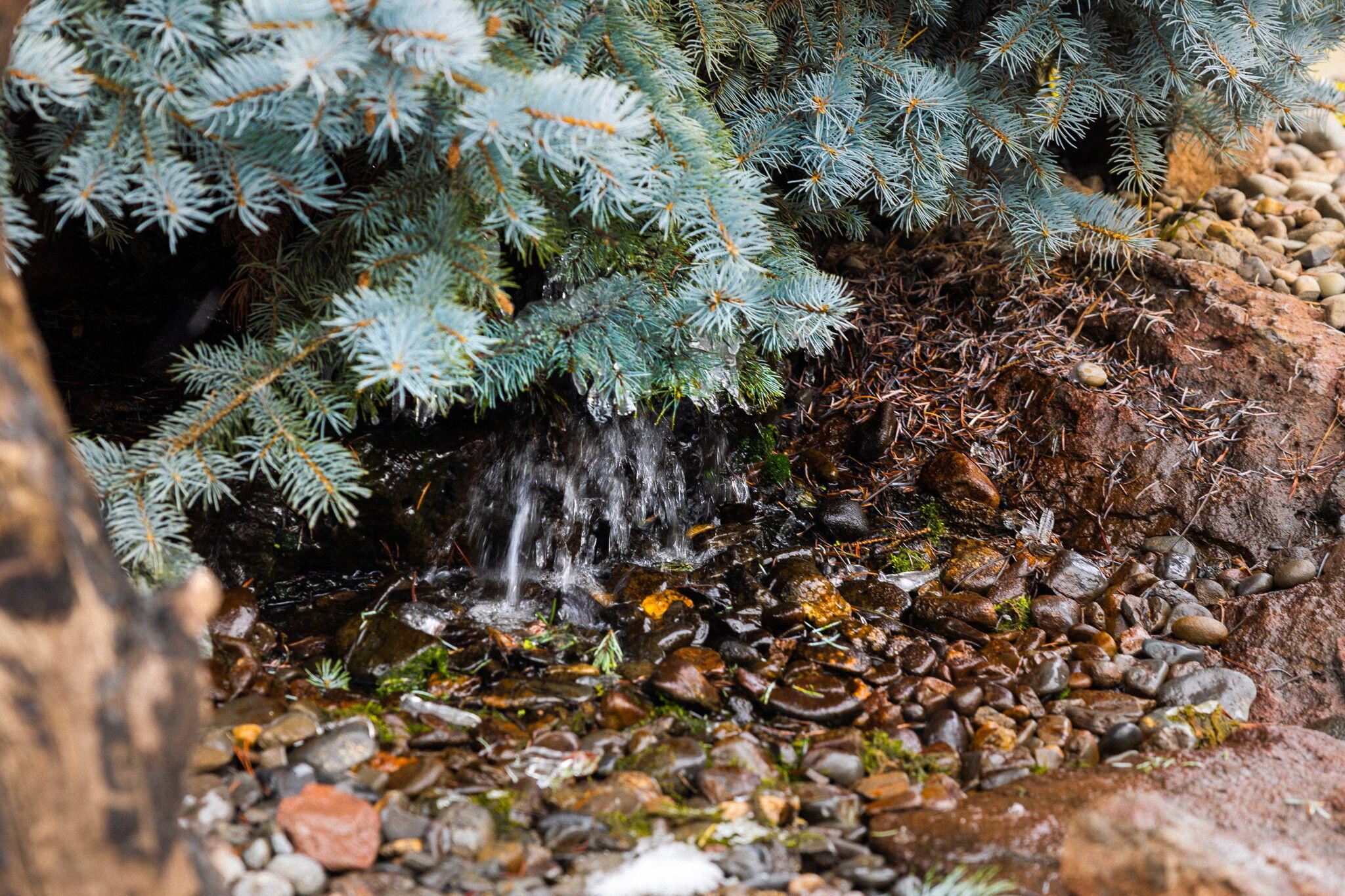 Lazy River West - Residential