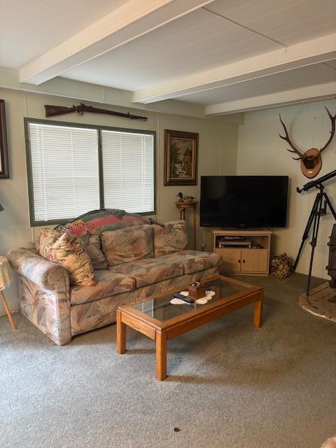 Sun Forest Estates - Residential