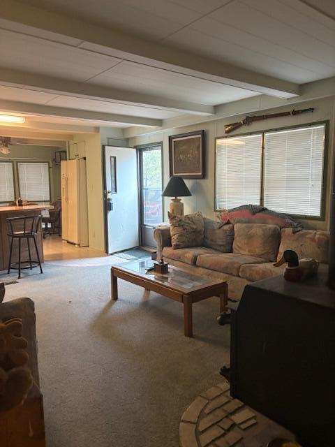 Sun Forest Estates - Residential