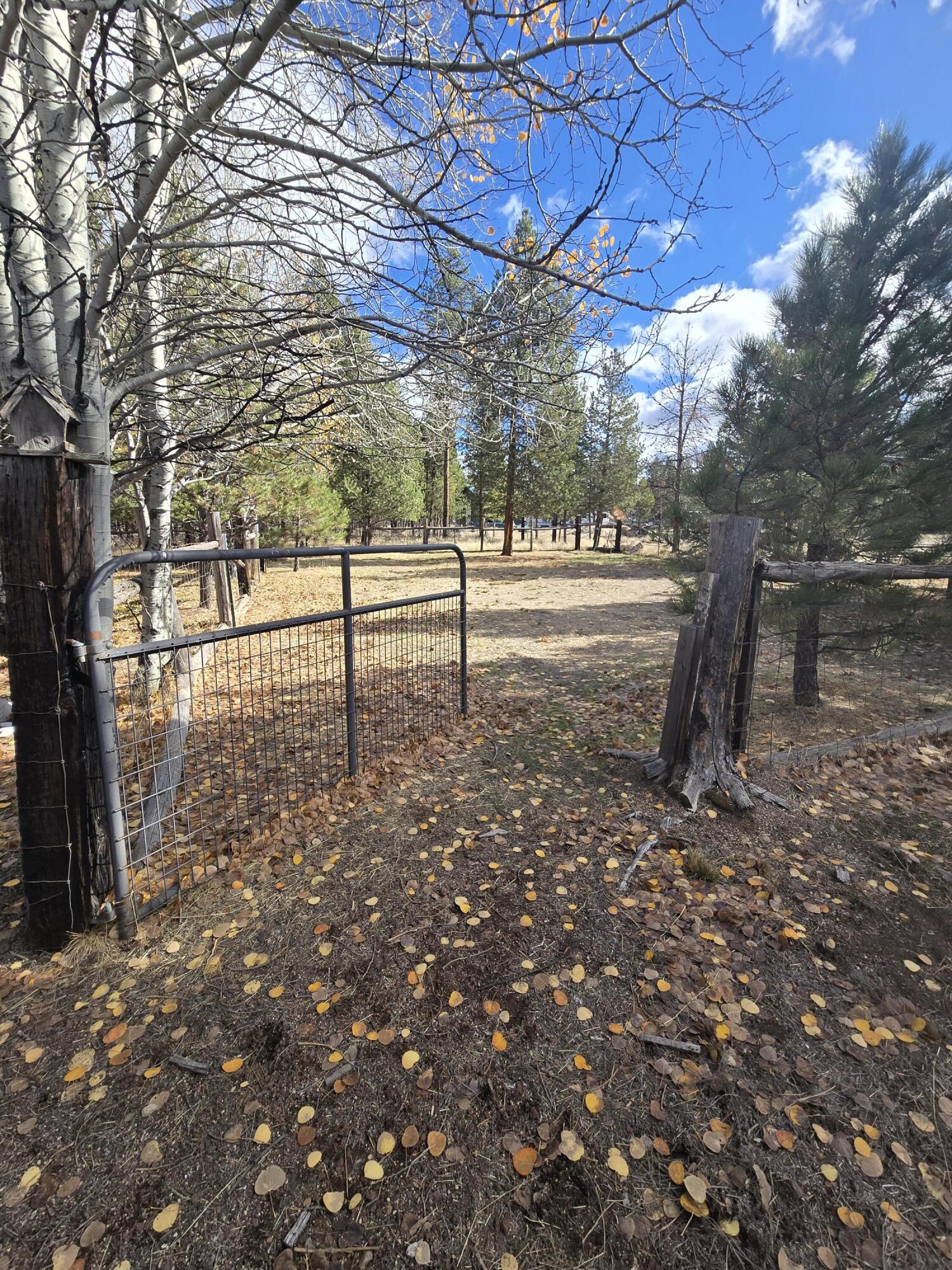 Sun Forest Estates - Residential