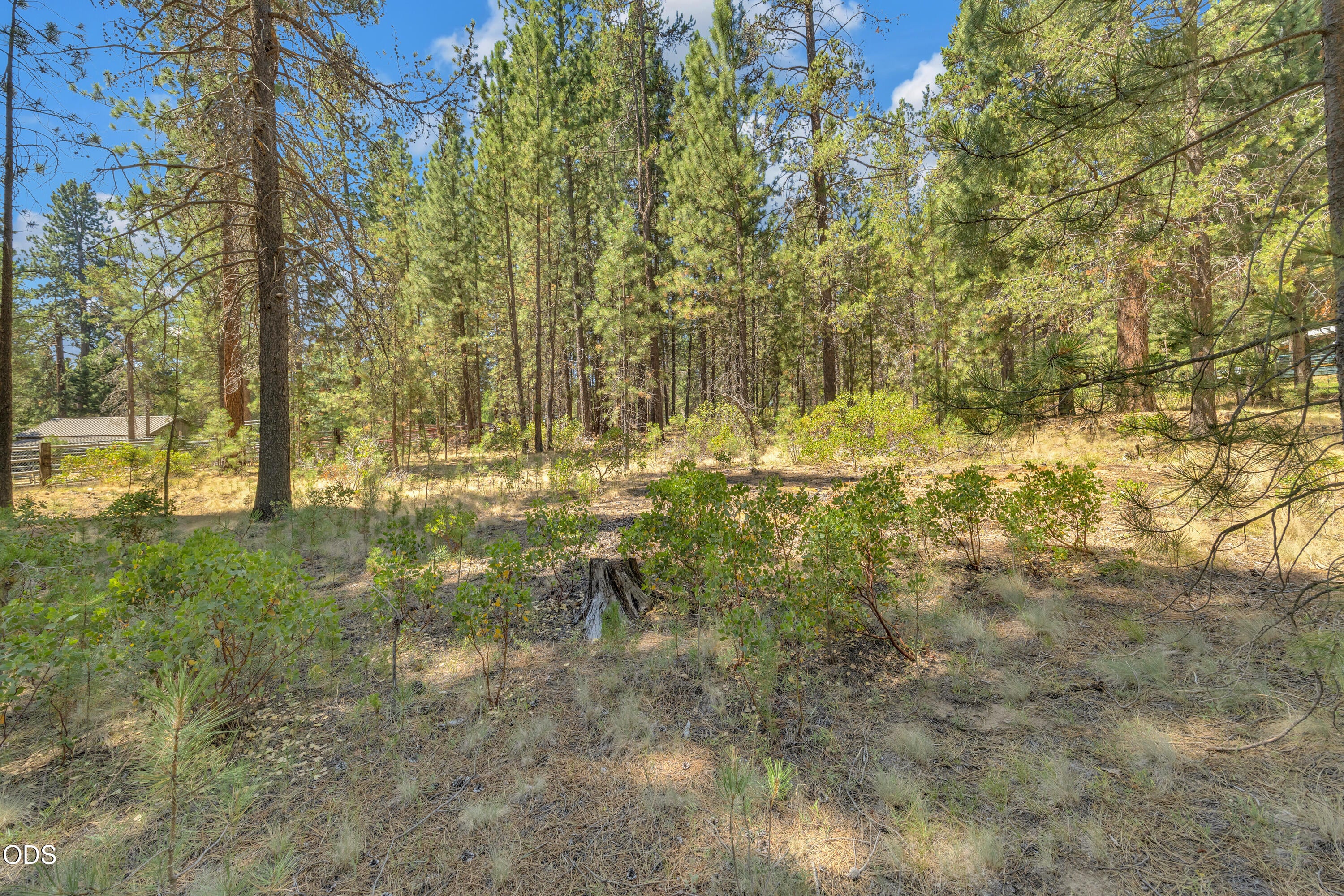 56860 Gina Lane