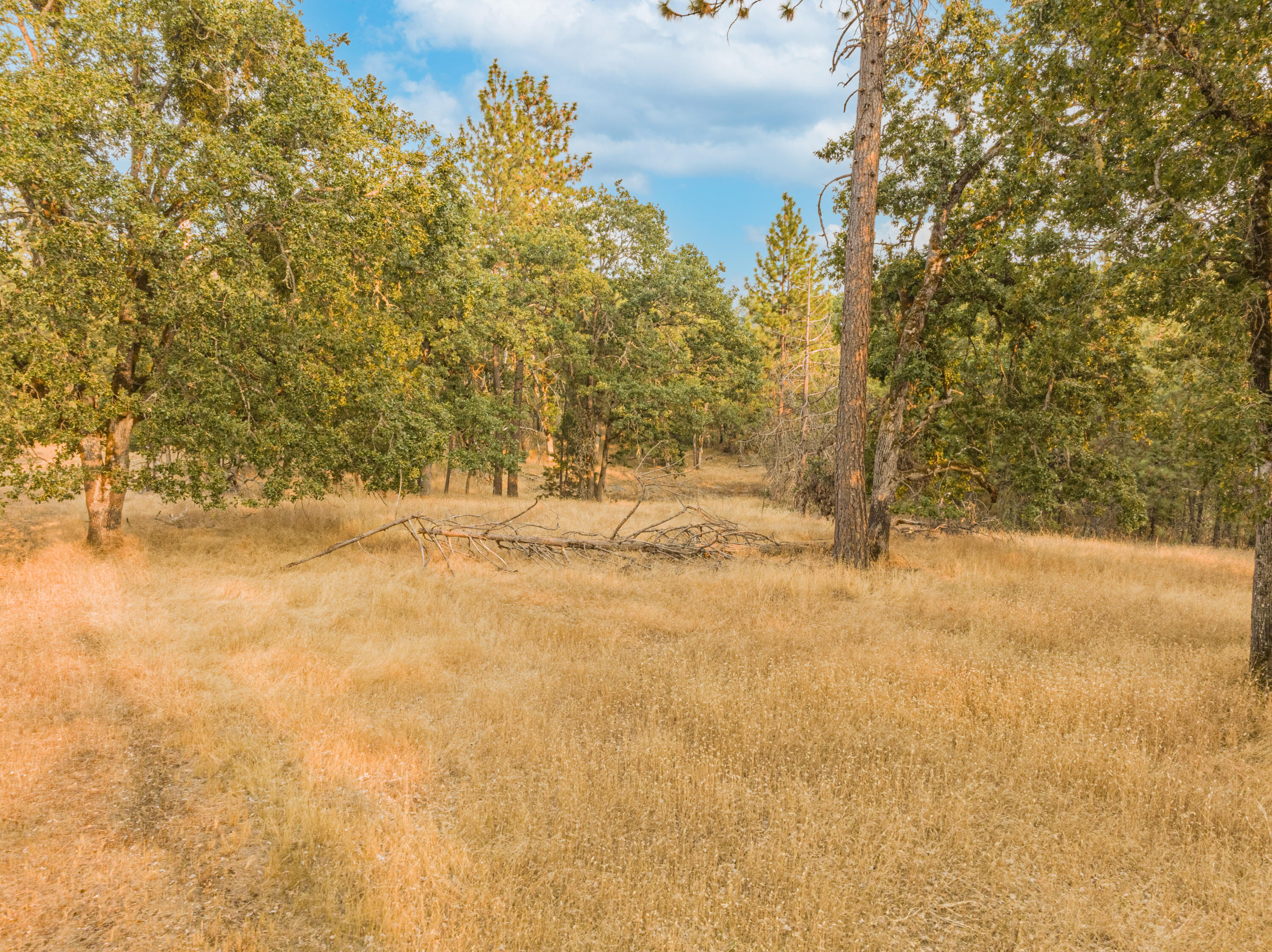 Bonnie Brae Subdivision - Land